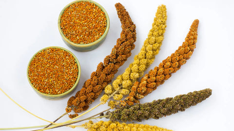 EMBRACE THE INTERNATIONAL YEAR OF THE SUPER GRAIN ‘MILLET’