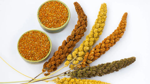 WHY ARE PEOPLE SHIFTING TO MILLET-BASED PRODUCTS AND ITS BENEFITS